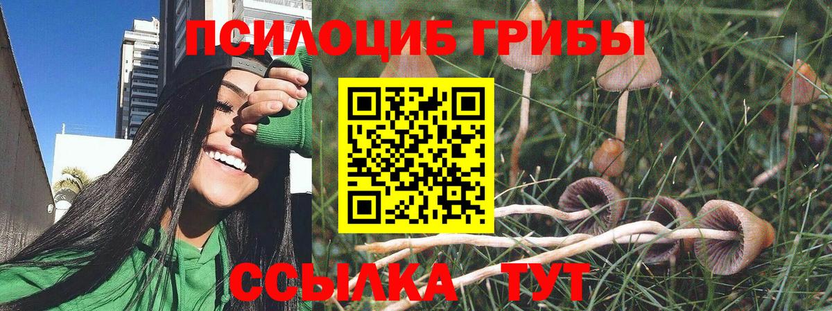 Среднеуральск  Псилоцибиновые грибы Magic Shrooms  Вход с VPN 