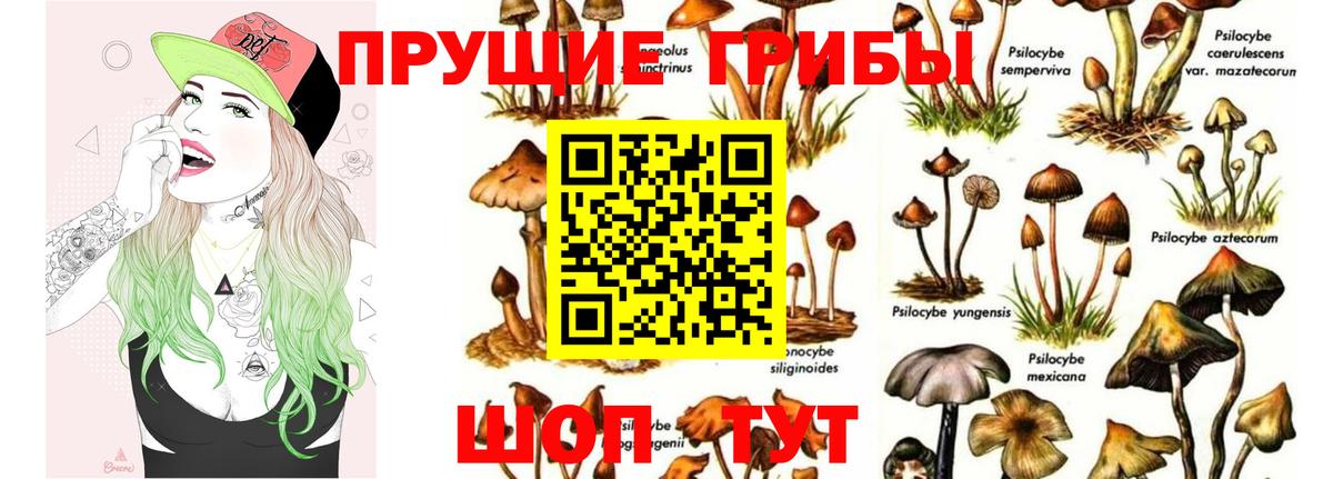Псилоцибиновые грибы мухоморы Среднеуральск